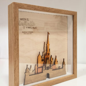 cuadro personalizado castillo Disney